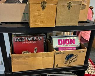 Large selection of LPs