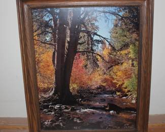 Stream and Fall Scene