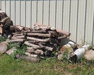 Mixed Firewood Pile