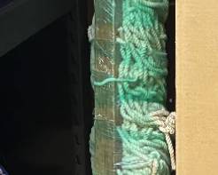 Hammock