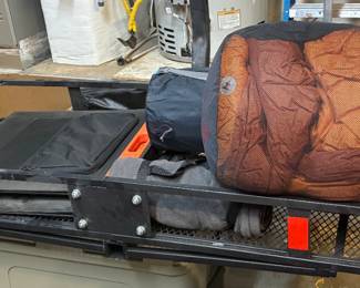 Curt car carrier