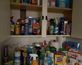 Cleaning essentials