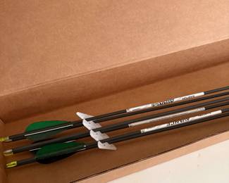 Archery arrows (set)