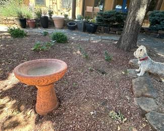 Bird Bath and Pots