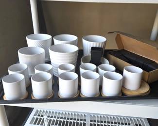 Assorted White Ceramic Planters with Bamboo Saucers & Seedling Pots