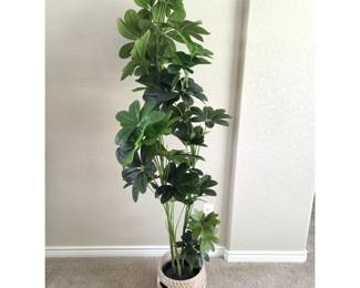 -5.5-Foot Faux Schefflera Plant with Woven Basket Planter - Decor