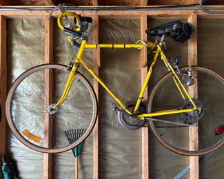 Vintage Schwinn Contintetal