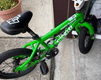 Tony Hawk Model Children's Bike