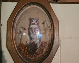 Art - Owl (3 dimensional behind glass.