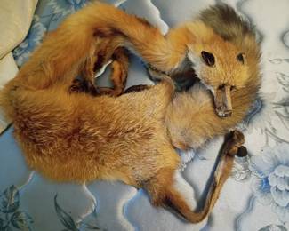 Fox Vintage stole