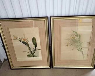 TWO ANTIQUE BOTANICAL PRINTS