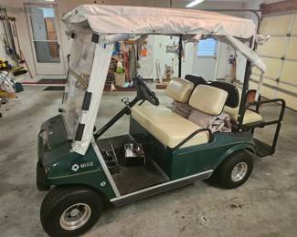 Electric Golf Cart 
