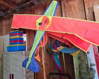 Airplane kite
