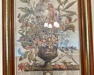 Large Framed Botanical Floral Engraving-Style Print