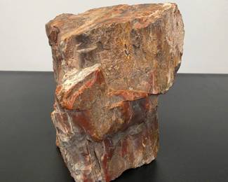 Lot #27 - Natural Petrified Wood Specimen Beautiful Rustic Mineral Decor