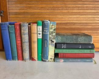 Lot #6 - Vintage Hardcover Collectible Books Lot including Black Beauty, Treasure Island, Boy on Horseback & More