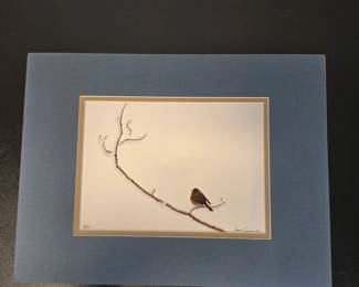Lot #66 - Gary Crandall Limited Edition Bird Photograpic Print 13/250 with Blue, Gray & Gold Matting