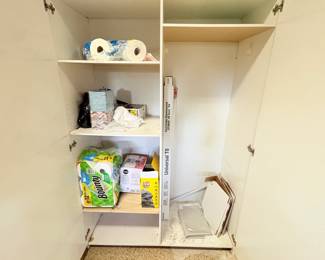 Garage Cabinet