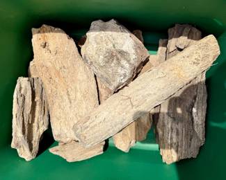 petrified Wood