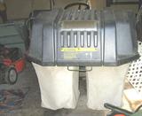 Simplicity leaf vacuum