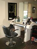Example of one of 5 beauty spa booth commercial grade units surface easy-to-clean located off-site, 5 minutes away in Munster.