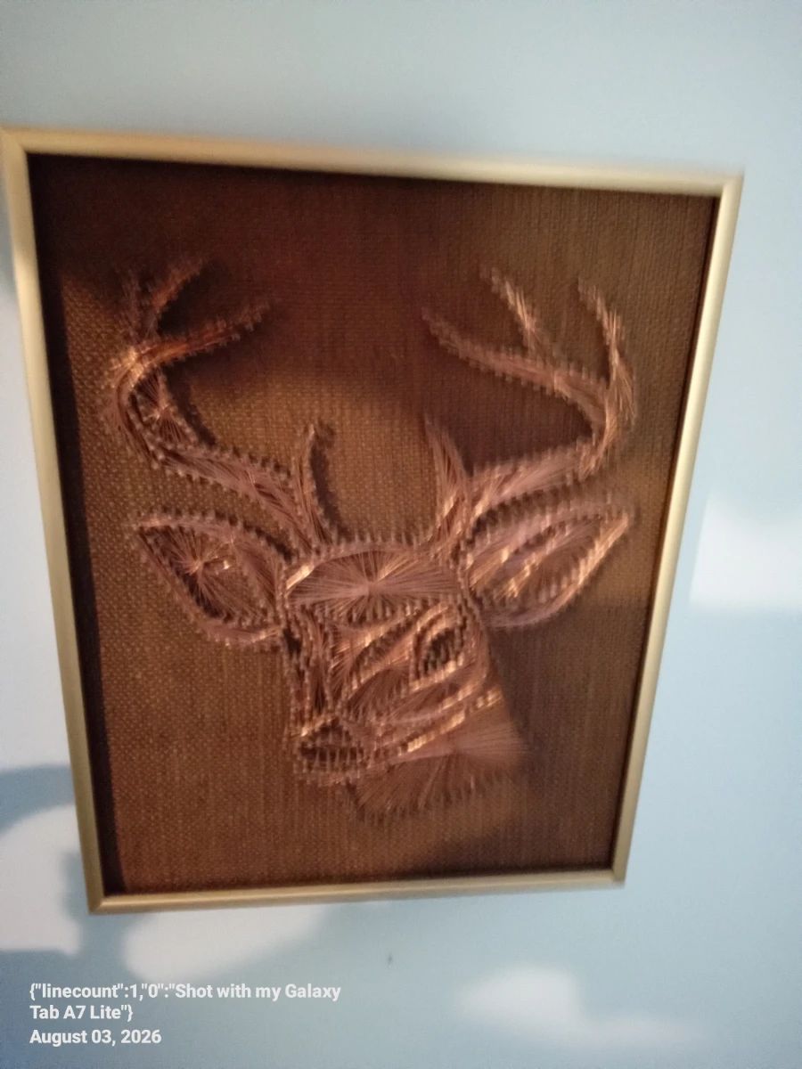 Copper Wire Buck