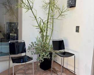 Outdoor plants and bar stools