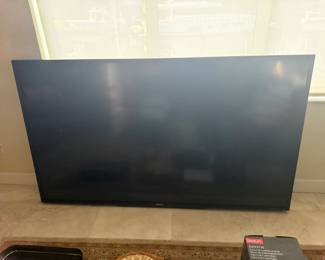 Sharp 90" TV