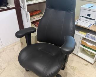 Lifeform Office chair