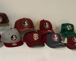 06 FSU Lids New