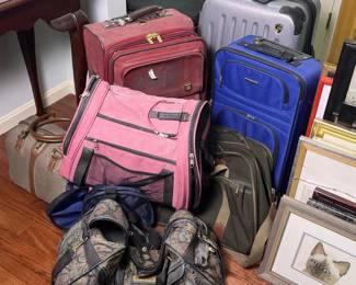 305 assortedsuitcasesandtravelbagslot
