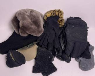309 assortedwinterhatsglovesandaccessor