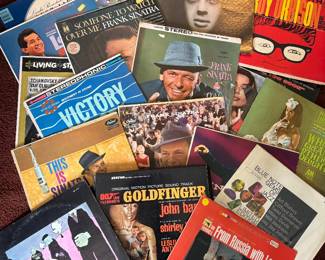 Amazing Vinyl Records!