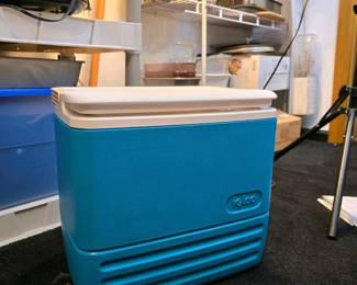 084 igloobluehardsidedcoolerwithassort