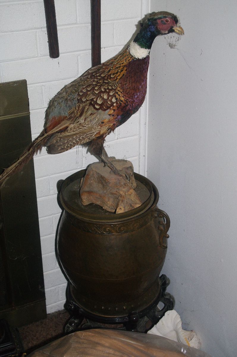 Vintage antique vase bird