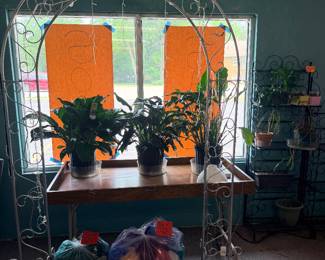 plants, archway, bags of tulle