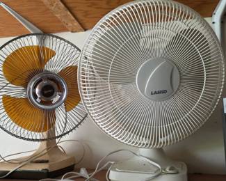Fans