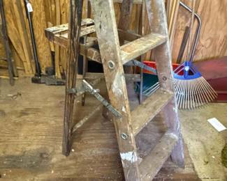 217 lynnladderscaffoldingcoincwoodstep