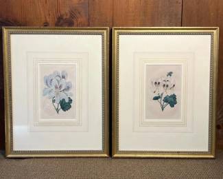 073 pairofframedbotanicalprints