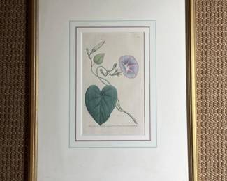 076 framedbotanicalprints