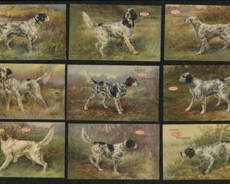 Du Pont Dogs