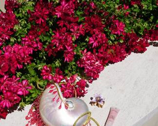 Bella Sara purse 