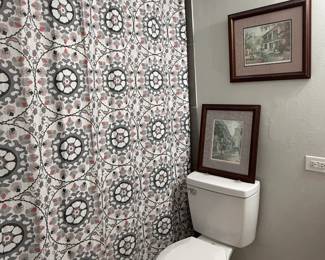 Shower curtain and two framed prints