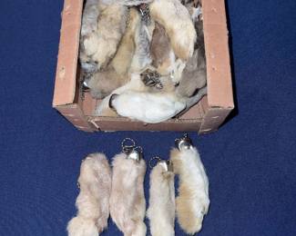 Rabbits feet keychain