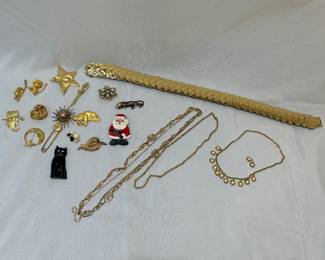 Costume jewelry and pins