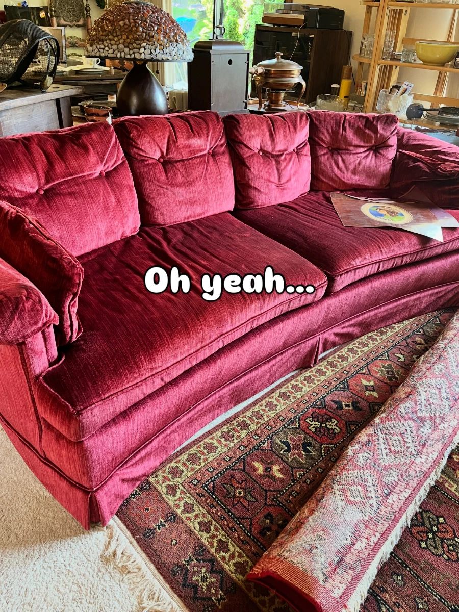 Velvet Sofa, Slightly curved