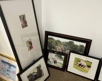 Collection of African Wildlife and Cultural Photography Prints