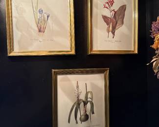 Lots of Botanicals