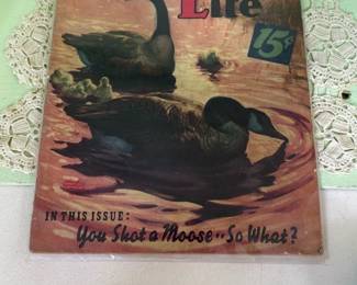 Outdoor Life February 1939