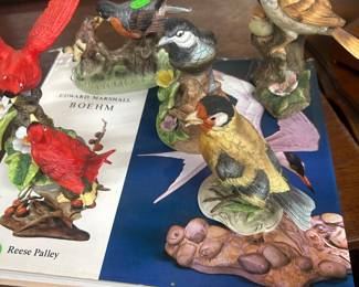 Collection model birds